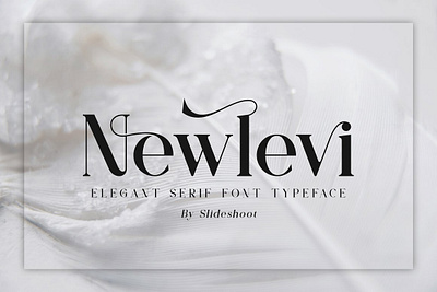 Cartis Beautyful Font Duo design display elegant fashion fonts modern regular serif typeface typography wedding