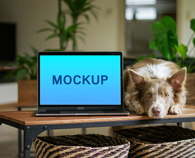 Laptop Beside a Dog Mockup branding free mockup graphic design landing page laptop mockup mockup mockups uiux design website design