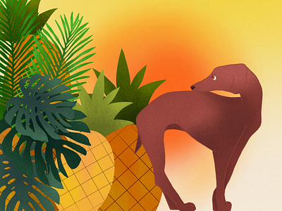 dog and ananas 2 digital art drawing graphic design illustration procreate