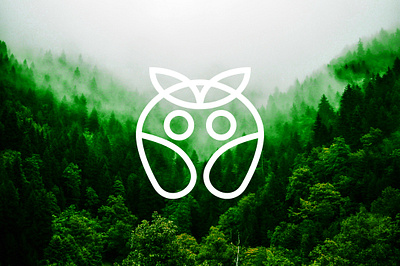 OWLWISE BRAND LOGO DESIGN animal logo design brand logo branding creative creative logo design graphic design illustration logo vector
