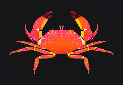 Crab Marcel animal character crab icon illustration illustrator pattern pictogram sea texture vector
