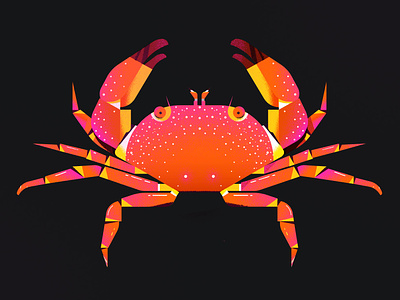 Crab Marcel animal character crab icon illustration illustrator pattern pictogram sea texture vector