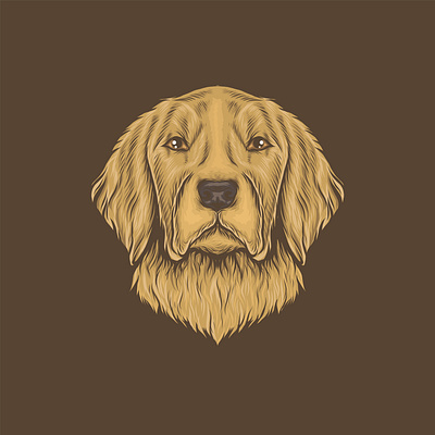 Golden Retriever Head design digital illustration dog drawing golden retriever graphic design head illustration vector