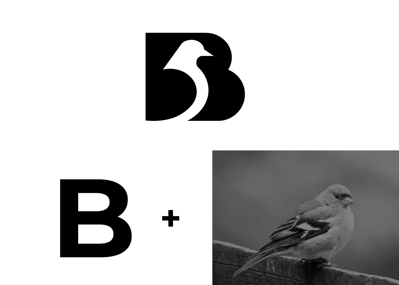B+Bird logo design b bird logo bird bird logo logo logo design