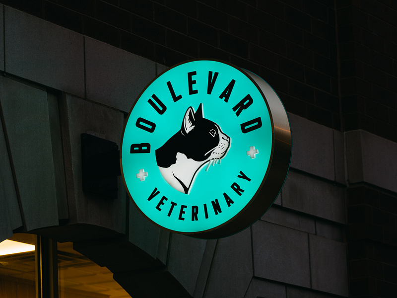 BLVD Vet Signage boulevard cat design feline illustration logo sign signage type vet vet logo veterinary