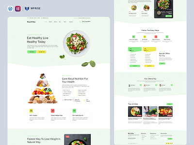 NutriVibe – Healthy Food & Wellness Coach Elementor Template branding design elementor template graphic design ui web design