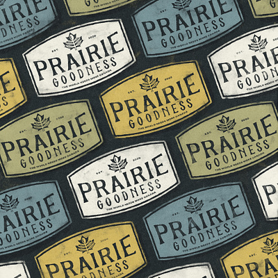 Prairie Goodness lentil chips co. branding canada chips co design graphic design logo organic