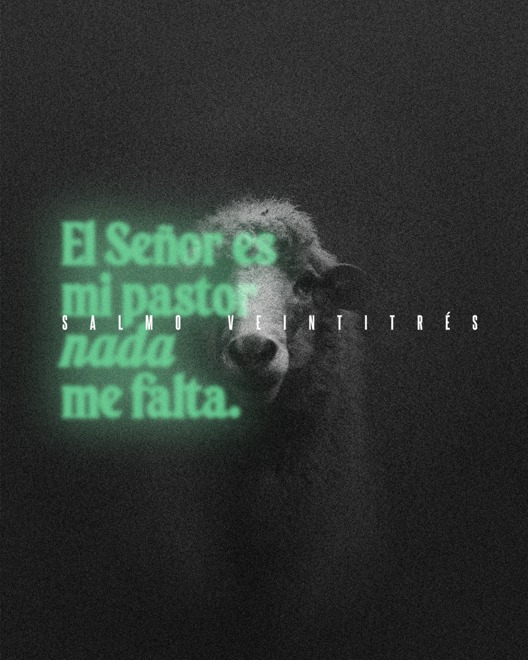 Salmo Veintitrés (Psalm 23) anxiety bible catholic church community digital design good shepherd green pastures journey lettering mental health psalm 23 sheep social media