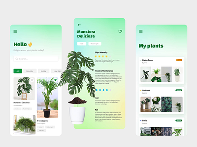 Plant Care animation concept motion graphics plant ui ui design