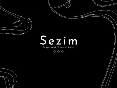 Sezim — Logo & Brand Identity brand identify branding logo logo design shapes
