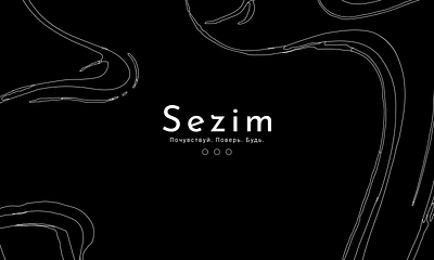 Sezim — Logo & Brand Identity brand identify branding logo logo design shapes