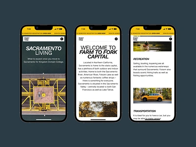 Sacramento Downtown Living app brand bridge capital city downtown govern government grid layout living mobile recreation sac sacramento staff town transportation ui user friendly