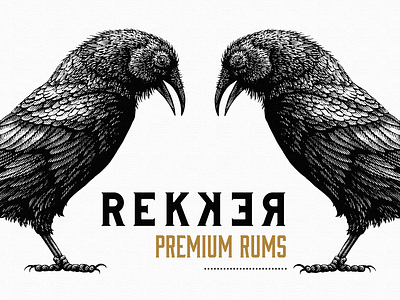 Rekker Rum Labels Illustrated by Steven Noble artwork branding design engraving etching illustration line art rekker rum scratchboard steven noble woodcut