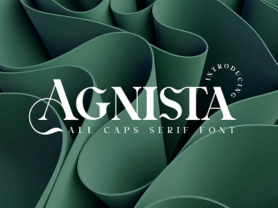 Agnista All Caps Serif Font all caps alphabet beauty design fashion font ligature lowercase serif stylish typeface typohraphy uppercase