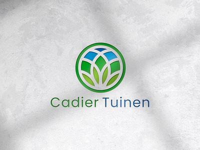 Cadier Tunen Logo Design and Logo Animation 2d animation brand identity branding creative creative logo design graphic design logo logo animation logoanimtion logofolio logomotion minimalist modern motion design motion graphics vector