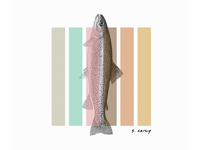 S. Carey Trout - Tee Shirt apparel band color design fish graphic design illustration merch merchandise music t shirt trout