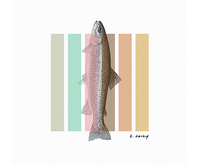 S. Carey Trout - Tee Shirt apparel band color design fish graphic design illustration merch merchandise music t shirt trout