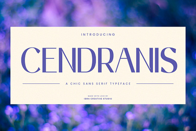 Cendranis – A Chic Sans Serif Typeface cendranis font