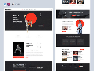 CobraKai – Martial Arts & Karate Trainer Elementor Template branding design elementor template graphic design ui web design