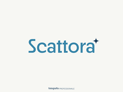 Scattora Logo brand identity branding color palette graphic design illustration logo logo design startup typeface typography