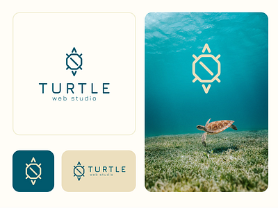Turtle brand branding design dev develop html identity logo logotype sea turtle web