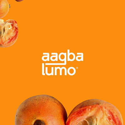Brand Design - Aagbalumo app design branding branding design graphic design identity design illustration logo logo design visual design