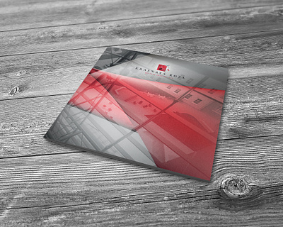 Red Rose Business District / brochure brochure graphic design polygraphy printing