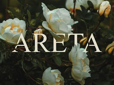 ARETA. women's boutique branding design graphic design illustration logo typography