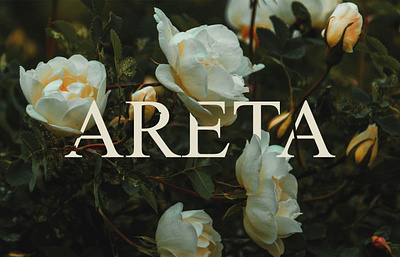 ARETA. women's boutique branding design graphic design illustration logo typography