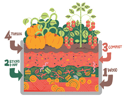 Hügelkultur compost diagram digital editorial folioart food illustration infographic john devolle plants science vector