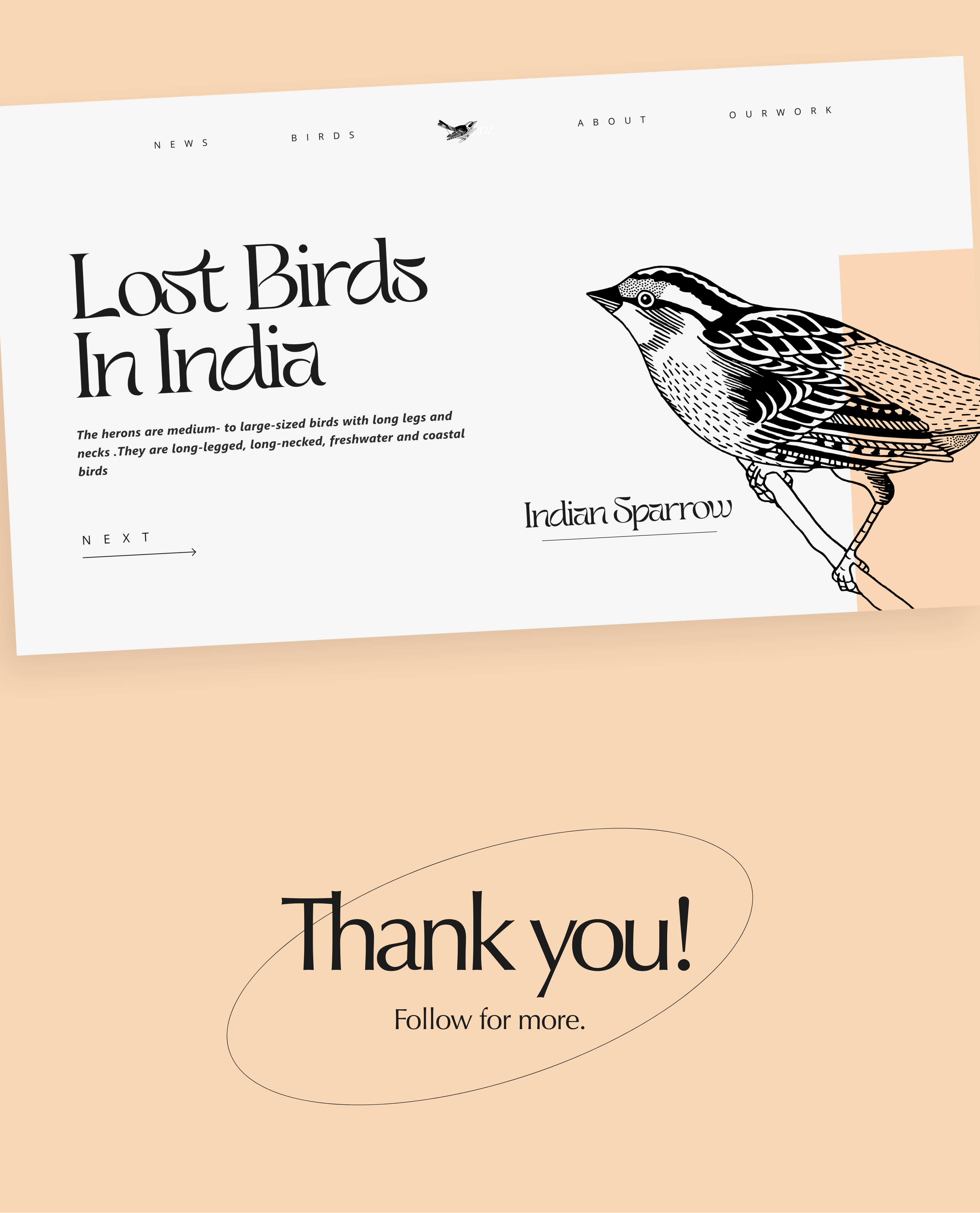 Web design for a company which supports Lost Birds in India branding design graphic design illustration logo ui ux vector webdesign website