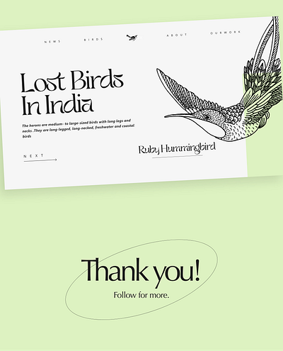 Web design for a company which supports Lost Birds in India branding design graphic design illustration logo ui ux vector webdesign website
