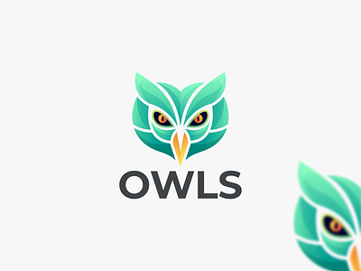 OWLS branding graphic design illustration logo owl coloring owl design logo owl icon owl logo