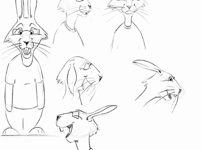 The challenge of bunny character sheets best animal drawings best animal sketches best character sheets best drawings best of motion graphics best sketching bunny character design bunny drawings character sheet dribbble discovery