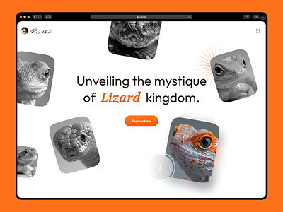 🦎 Reptile Realm: A UI Journey animals branding design graphic design logo minimal orange reptile ui ux website