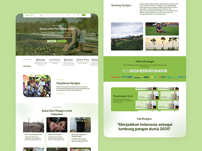 MyAgro - Landing page & about us about us agrotech clean company profile design green landing page minimalist partnership ui ui design website