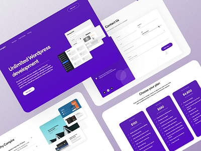 Unlimited WP Company branding ui ux