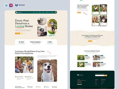 PawHaven – Animal Shelter & Pet Rescue Elementor Template branding design elementor template pet rescue elementor template ui web design