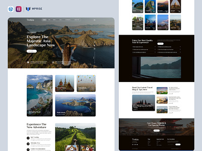 Trekio – Tour & Travel Agency Elementor Template branding design elementor template ui web design