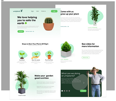 Website Design - umiplants forest green green design green theme ui umiplants web design website design