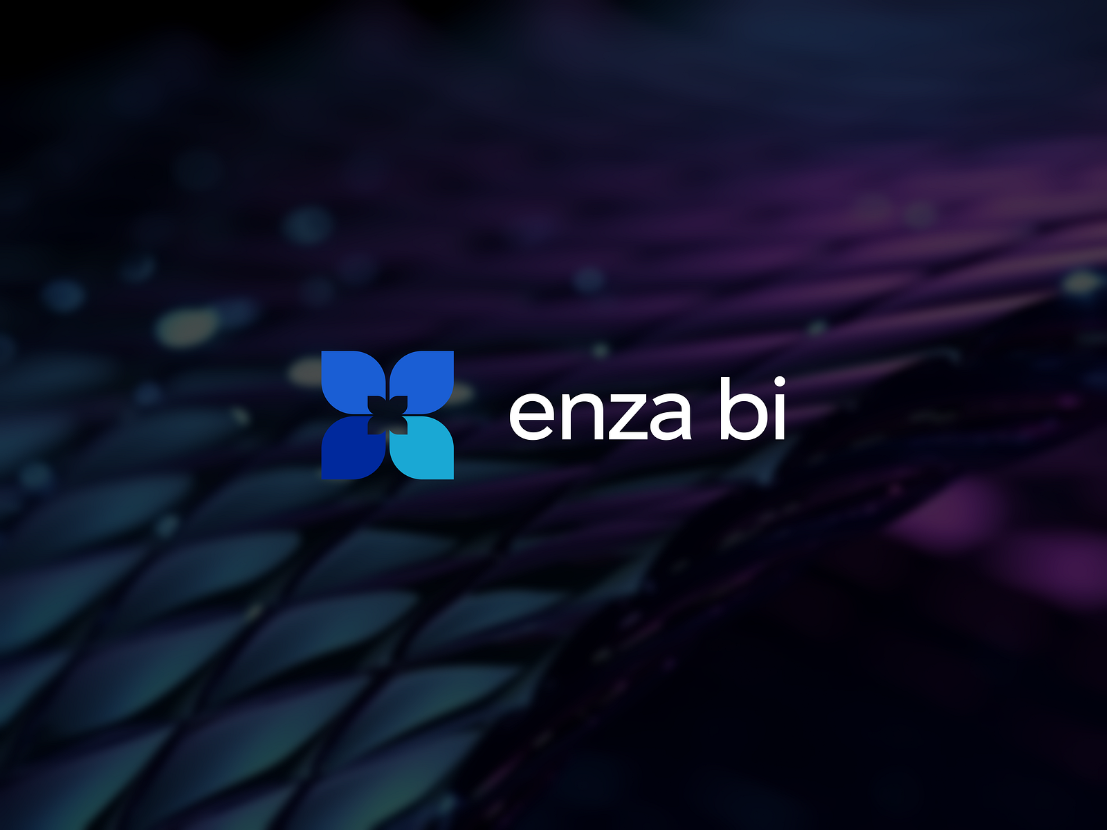 Enza bi logo by Vlad on Dribbble