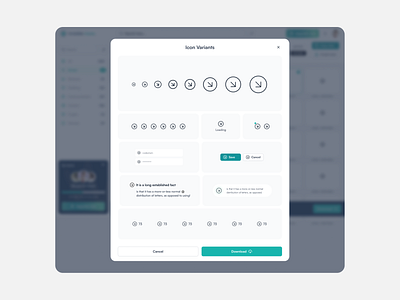 Icon Varients View | Icon Library Saas Web Application icon library icon varients preview product design saas ui design user experience ux design web app web application web ui
