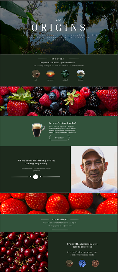 "The Origins" Kaffee Plantage Website erstellt mit Figma design figma graphic design ui