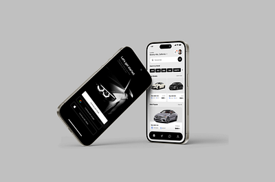 AutoLink™ - Car Rental & Purchase app branding design graphic design illustration logo ui ux