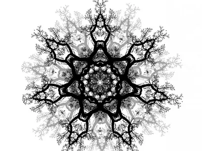 Branch symmetry branch infinity photo photoshop symmetry tree