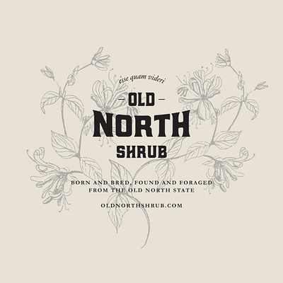 Old North Shrub branding design graphic design illustration logo typography