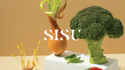 Sisu Zero Waste Store branding design graphic design illustration logo packaging typography vector