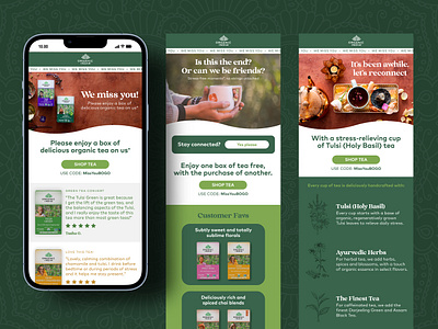 Organic Tea Newsletter Design design drink email graphic design hot tea
