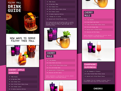 Drink Guide Newsletter Design beverage cocktails email graphic design recipes
