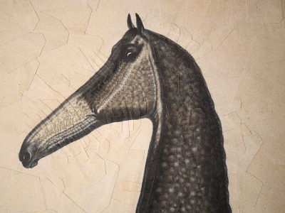 Bonnie after Eddowes Turner, detail 2 equine head horse horses illustration